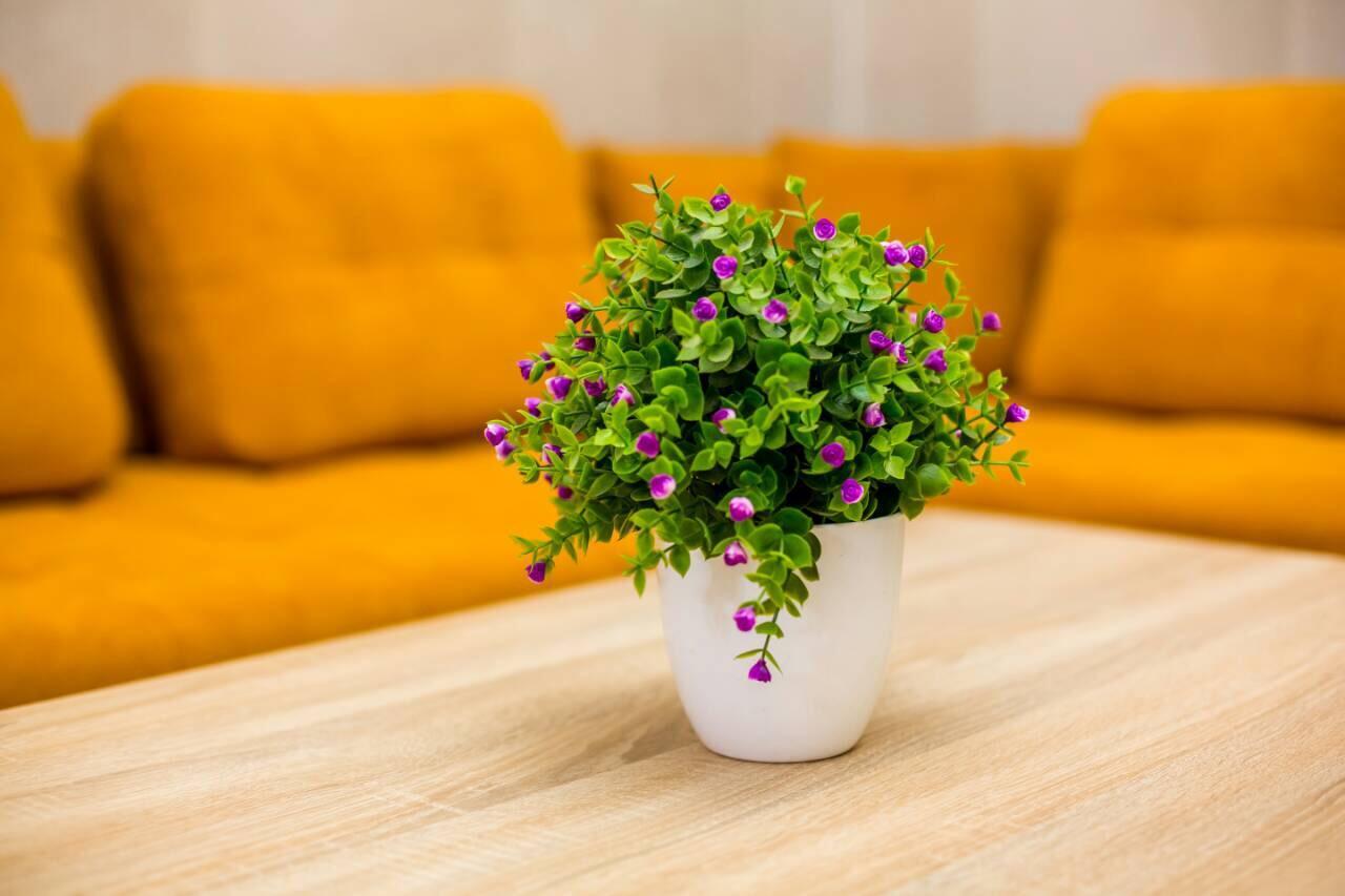 Apartments In The Center Lviv Ngoại thất bức ảnh